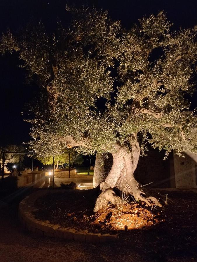 Il Nido Delle Rondini Βίλα Cisternino Εξωτερικό φωτογραφία