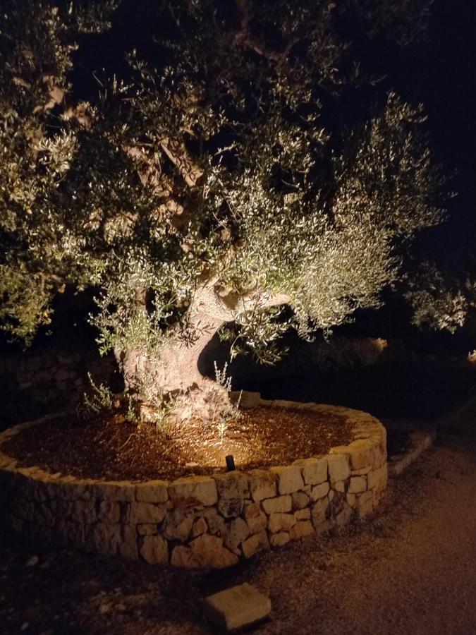 Il Nido Delle Rondini Βίλα Cisternino Εξωτερικό φωτογραφία